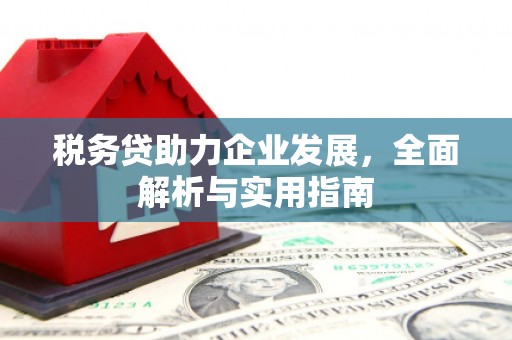 临邑税务贷助力企业发展，全面解析与实用指南