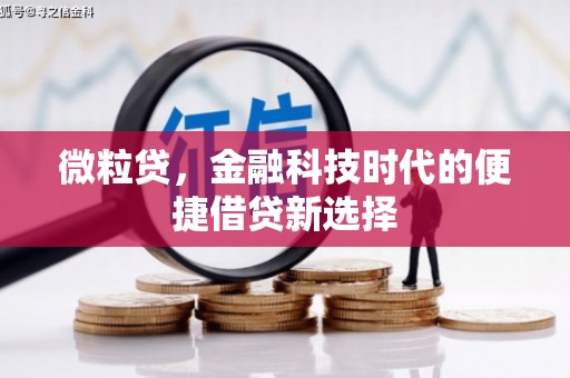 瑞芳微粒贷，金融科技时代的便捷借贷新选择