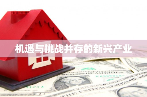 吉隆机遇与挑战并存的新兴产业