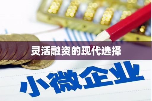 浉河灵活融资的现代选择