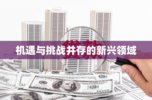 邯郸机遇与挑战并存的新兴领域