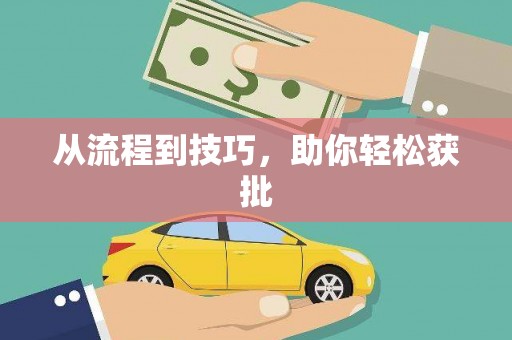 大里从流程到技巧，助你轻松获批