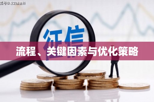 西双版纳流程、关键因素与优化策略