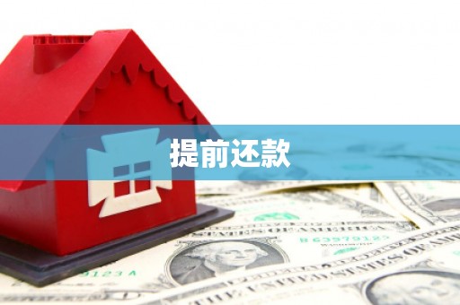 康马提前还款