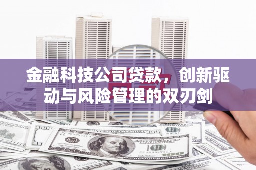 甘州金融科技公司贷款，创新驱动与风险管理的双刃剑
